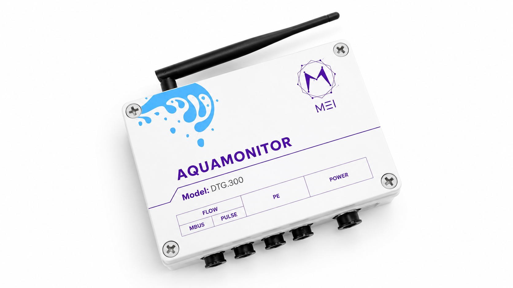 AQUAMONITOR -  DTG.300